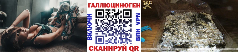 Псилоцибиновые грибы Psilocybine cubensis  Купить  Моздок 